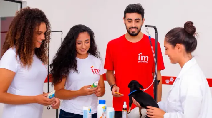 Estudar em uma marca premiada: Instituto Mix recebe Prêmio Franquia 5 estrelas da PEGN