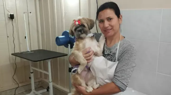 Amor pelos animais fez ela ressignificar a carreira profissional