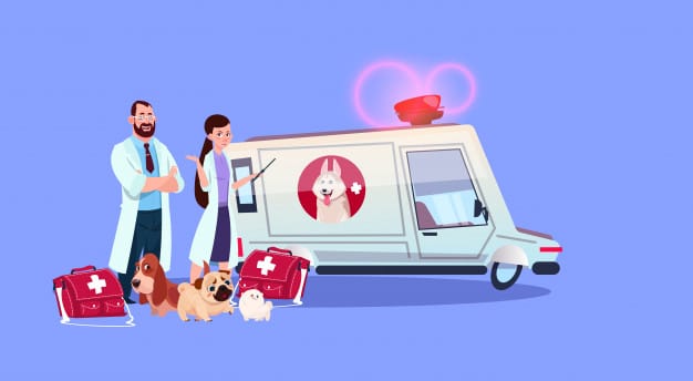 Curso de auxiliar de veterinário: para quem é indicado?